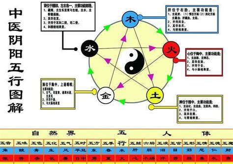 智的五行|智的五行